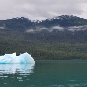 Iceberg - Endicott