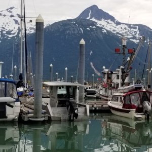 Intuition Skagway