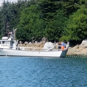 boat harbor gillnetter