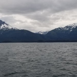 Gray morning S Lynn Canal