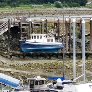 Haines Harbor Grid