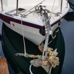Old Anchor at dock
