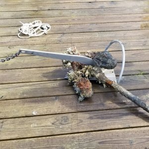 Old Anchor on dock