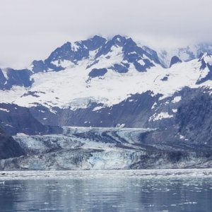 Johns Hopkins Glacier