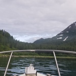 Shag Cove looking south
