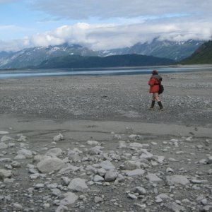 Reid Glacier flats