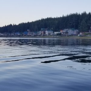 Tenakee Springs Water View