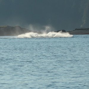 tail slap down