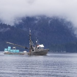 Kanak Tender Chatham Strait