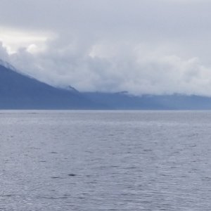 Western Mariner Chatham Strait