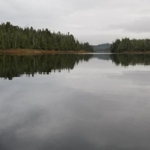 Foggy Bay