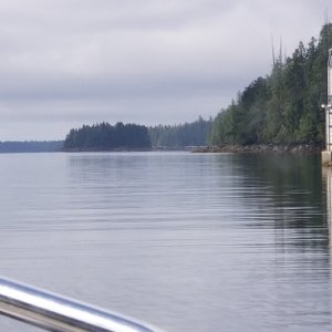 Percival Narrows