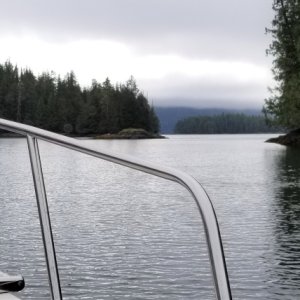 Jackson Narrows