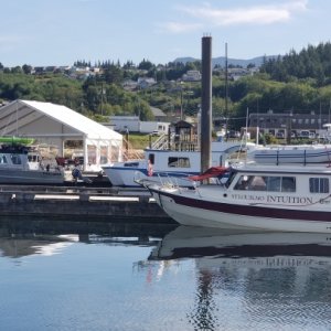 Intuition Port McNeill