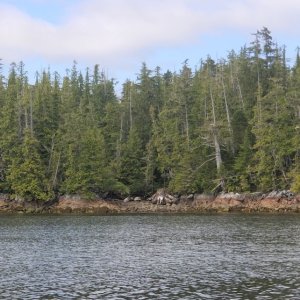 Millbrook Cove