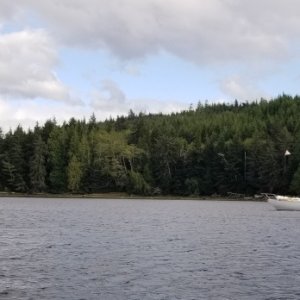 Growler Cove