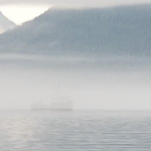 Ghost Ship Johnstone