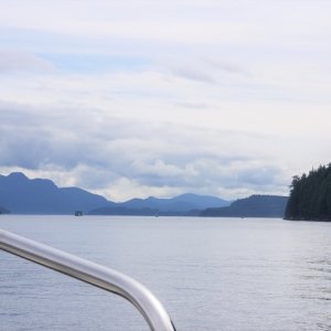 Johnstone Ripple Point