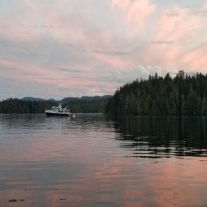 Thurston Bay Sunset