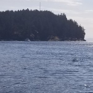 Approaching Dodd Narrows