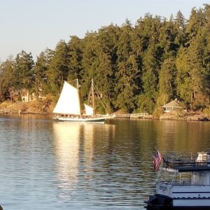 Spike Africa in Friday Harbor