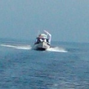 Sea Pal Crossing Albemarle (2)