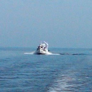Sea Pal Crossing Albemarle Sound