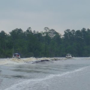Surfing waves on Northlanding River
