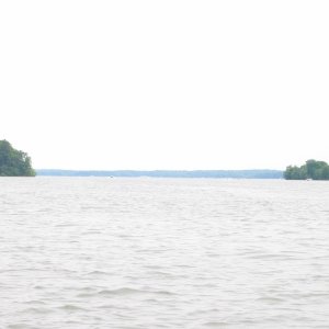 Pisgah Bay, Kentucky Lake
