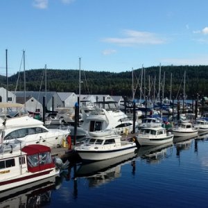 The Ladysmith dock