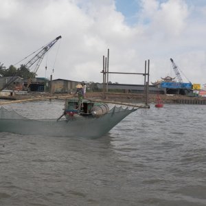 The net is lowered into the water.  I never saw any chumming, so I guess you just wait for the fish to happen by.