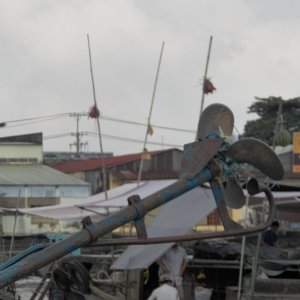 The props were often entangled with plastic bags, rope and other garbage.  Lifted out of the water, the engine would race and throw some off.  No reverse on most, so you need a fellow boater and shut down if it won't fling off.