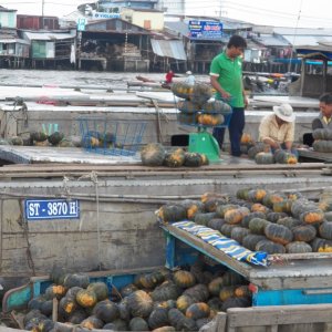 We visited the floating market in Can Tho.  This is a "wholesale" market with the anchored large vessels selling to smaller vessels that will distribute the wares along the little man-made canals on the Mekong.