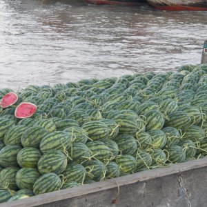 The watermelon man.
