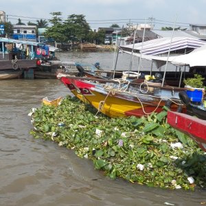 Media 'When the tide changed, the boats at the front started collecting water hyacinth and garbage.' in album 'The Mekong has been used commercially for centuries and it shows.'