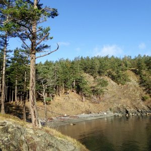 Cove on the East side of the island with 4 state park buoys