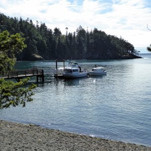 A bunch of others arrived and stayed for an hour or two on the aluminum fishing boat in front of mine.