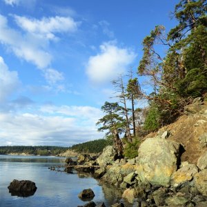 Exploring the shoreline at low tide.