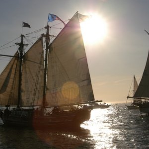 We were out chasing Tall Ships