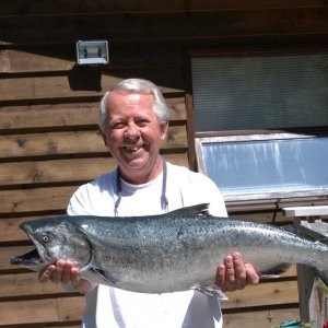 Nice King Salmon From British Columbia