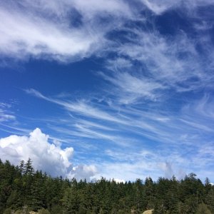 Wind coming!