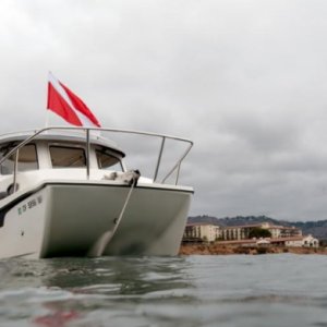 BuchanansReef zpsc23ddc27