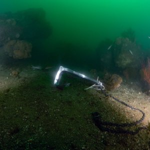 Anchor