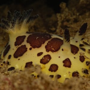 Halfway Reef D3X6760
