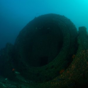 Elevated Pipe
