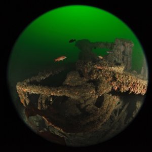 Avalon wreck D3X1784