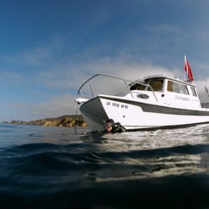 Marineland D3X1817