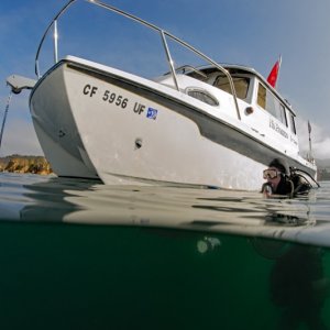 Marineland D3X1818