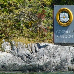 Great anchorage at Codville Lagoon