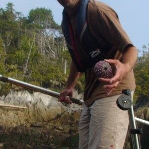 Loot! An intact urchin shell.